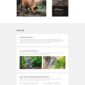 Impacto Patronus Petitions Social Activism Templat - Elementor Template Kit - Image 35