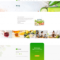 Farmino Organic Food Template kit - Image 26