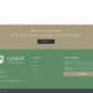 Gekopi Coffee Shop Blog Elementor Template kit - Image 5