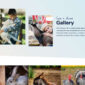 Animal Sanctuary Non Profit Template kit - Image 2