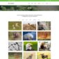 Eko Environment Ecology Template kit - Image 9