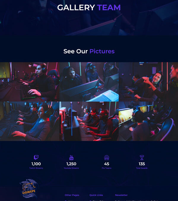 Ggwepe Esports Gaming Elementor Template kit - Image 6