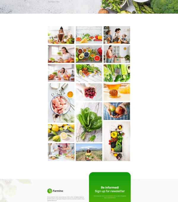 Farmino Organic Food Template kit - Image 27