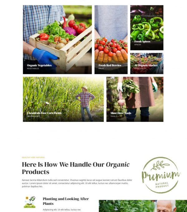 Nablus Organic Food Agriculture Template kit - Image 11