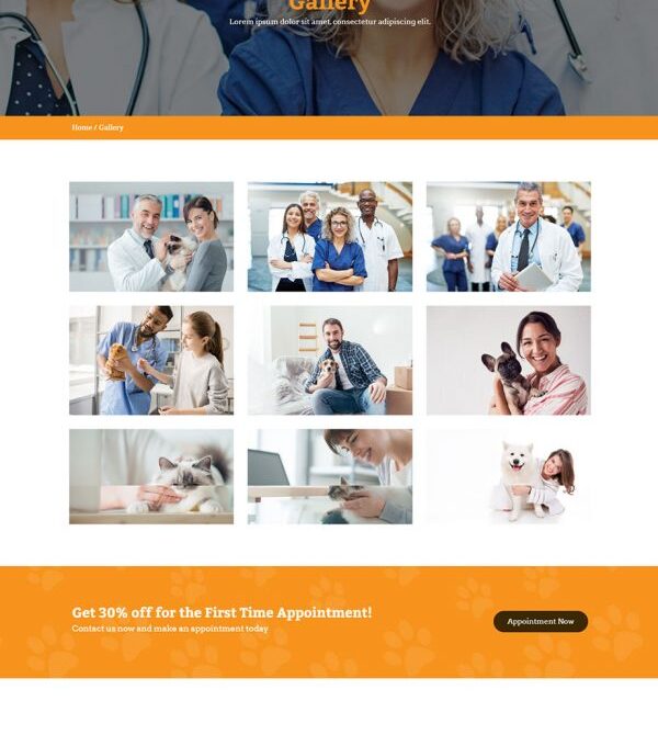 Petto Vetenary Pet Clinic Template kit - Image 3