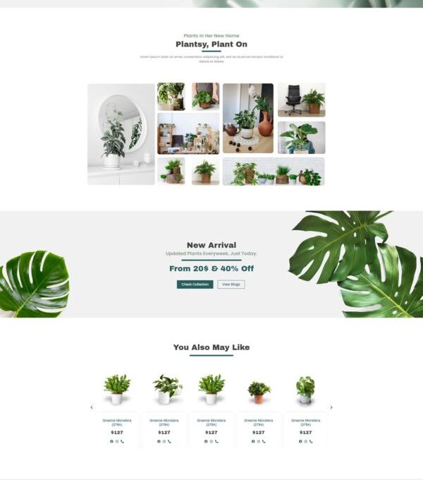 Plantsy Houseplants Elementor Template kit - Image 11