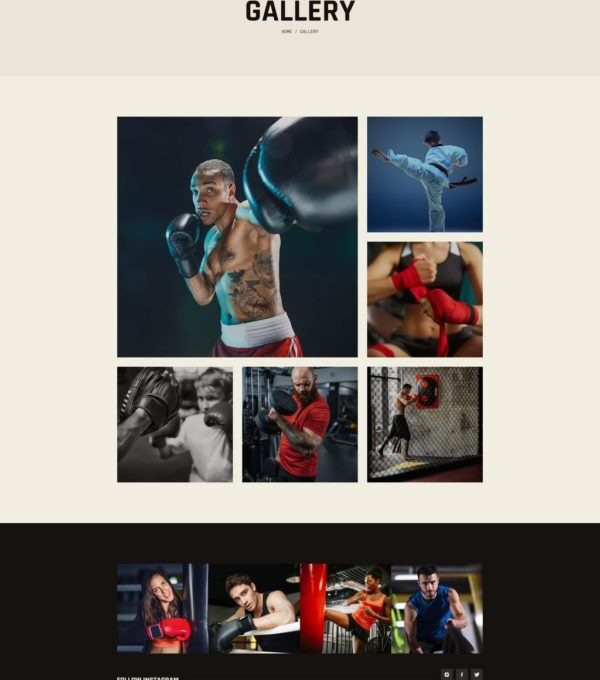 Rumble Boxing Mma Fighting Elementor Template kit - Image 21