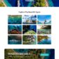 Sealosca Sea Adventure Travel Template Ki - Elementor Template Kit - Image 8