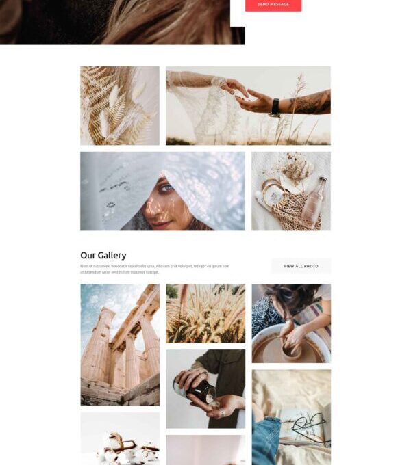 Blog4life Blog Magazine Elementor Template kit - Image 20