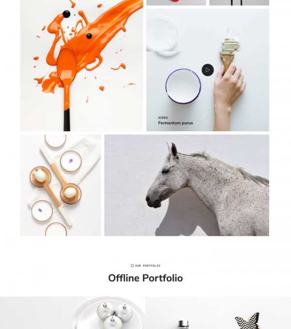 Snobite Clean Minimal Portfolio Elementor Template - Elementor Template Kit - Image 8