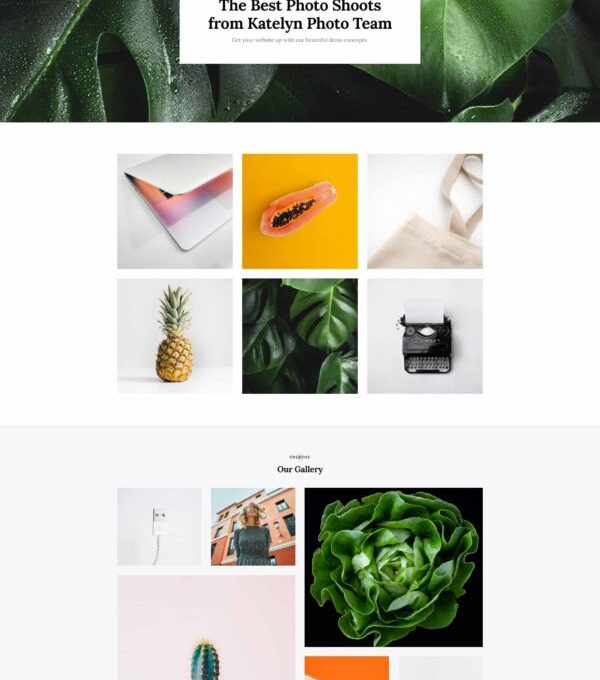 Katelyn Modern Blog Template kit - Image 21