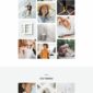 Quanzo Creative Portfolio Template kit - Image 35