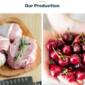 Farmino Organic Food Template kit - Image 12