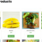 Getstall Grocery Store Elementor Template kit - Image 19
