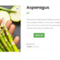 Getstall Grocery Store Elementor Template kit - Image 18