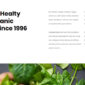 Getstall Grocery Store Elementor Template kit - Image 11