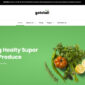 Getstall Grocery Store Elementor Template kit - Image 2