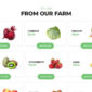 Orgakit Organic Farm Elementor Template kit - Image 2