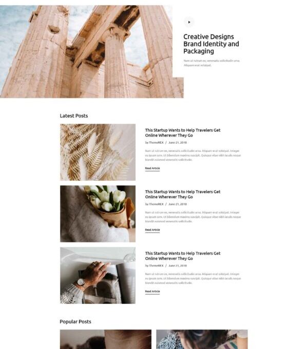 Blog4life Blog Magazine Elementor Template kit - Image 2