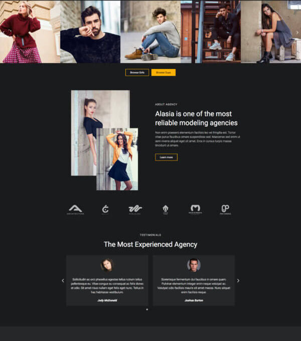 Alasia Model Agency Elementor Template Kitl - Image 2