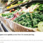 Growceries Food Grocery Store Elementor Template K - Elementor Template Kit - Image 5
