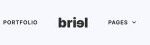 Briel Digital Marketing Agency Elementor Template - Elementor Template Kit - Image 15