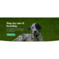 Petcare Pet Boarding and Care Centre Template kit - Image 18