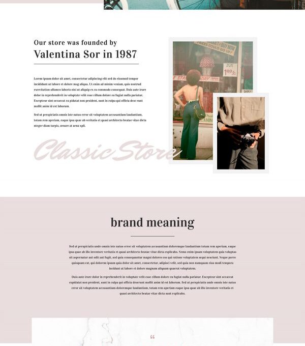 Fashion Feel Woocommerce Elementor Template kit - Image 10