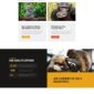 Impacto Patronus Petitions Social Activism Templat - Elementor Template Kit - Image 27