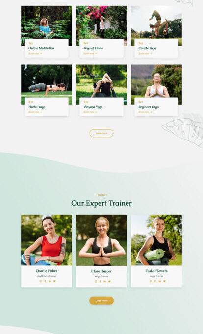 Anayoga Yoga Teacher Studio Elementor Template kit