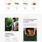 Nablus Organic Food Agriculture Template kit