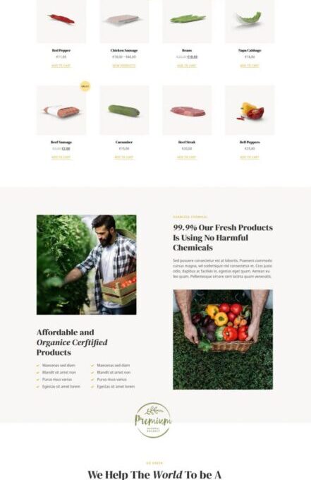 Nablus Organic Food Agriculture Template kit