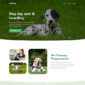 Petcare Pet Boarding and Care Centre Template kit