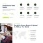 Silverline Finance Investment Elementor Template K - Elementor Template Kit