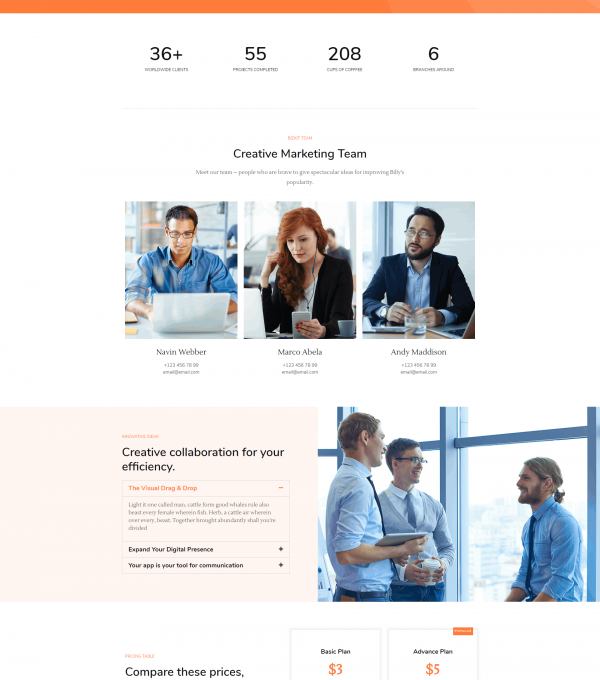 Bizkit Multipurpose Business Template kit - Image 13