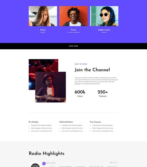 Rareradio Music Streaming Elementor Template kit - Image 5