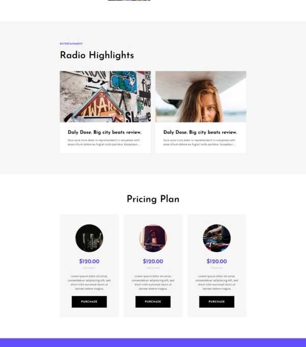 Rareradio Music Streaming Elementor Template kit - Image 6