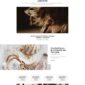 Blog4life Blog Magazine Elementor Template kit - Image 6