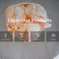 Eis Ice Cream Shop Template kit