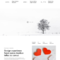 Snobite Clean Minimal Portfolio Elementor Template - Elementor Template Kit