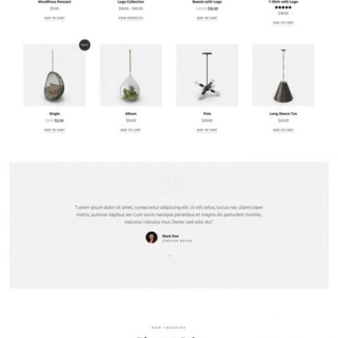 Dexor Furniture and Decor Shop Template kit