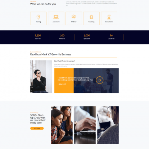 Nixa Business Services Elementor Template kit