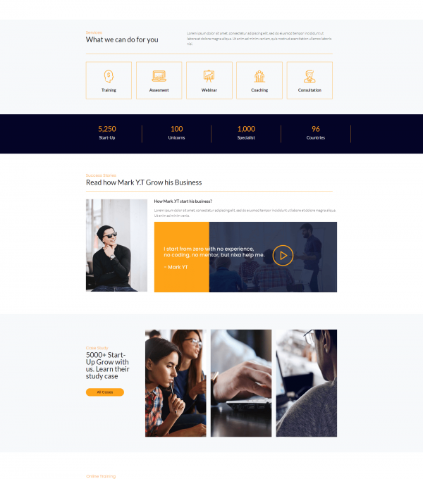 Nixa Business Services Elementor Template kit