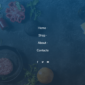 Burgos Street Food Elementor Template kit - Image 20