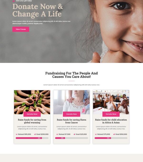 Ngoo Non Profit Charity Template kit - Image 15