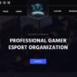 Assasin Esport Elementor Template kit