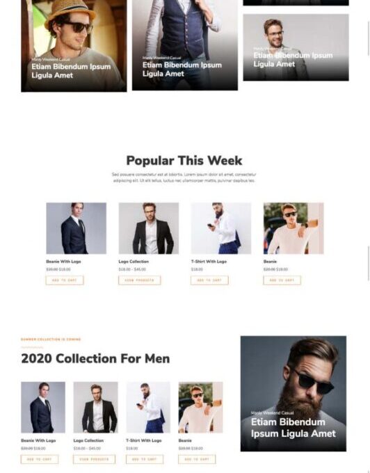 Menzone Modern Ecommerce Template kit