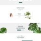 Plantsy Houseplants Elementor Template kit