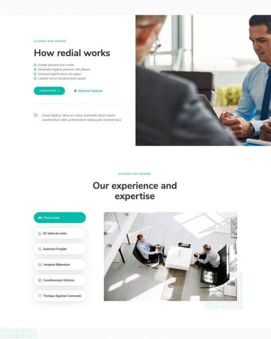 Redial Corporate Business Template Ki - Elementor Template Kit