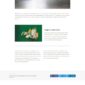 Markup Corporate Marketing Agency Elementor Templa - Elementor Template Kit - Image 8